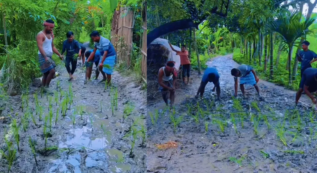 ছবি : সংগৃহীত