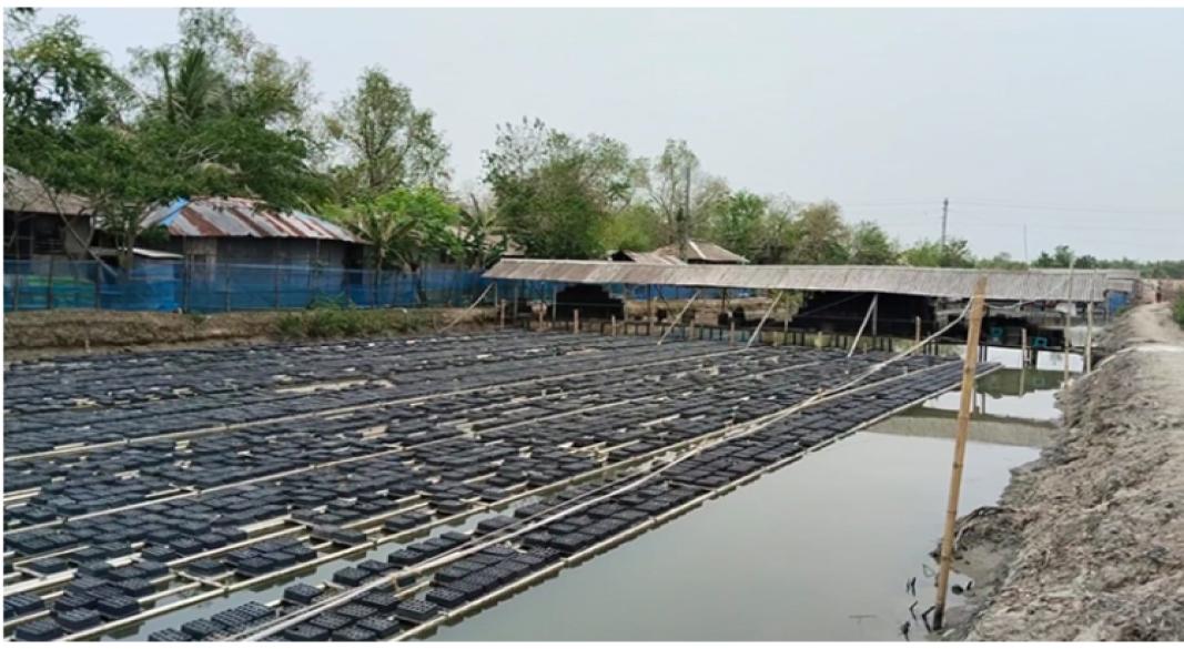 ছবি : সংগৃহীত