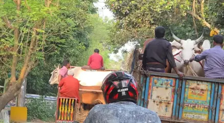 ছবি: সংগৃহীত