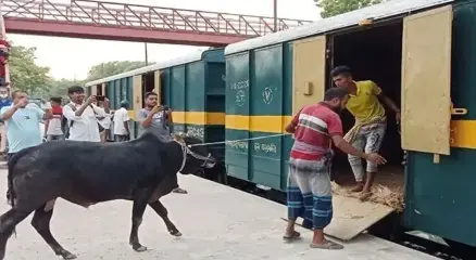 ছবি: সংগৃহীত